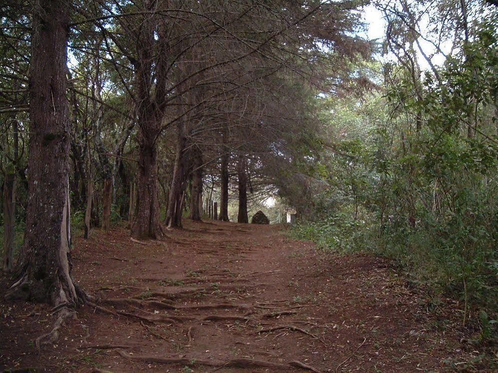 ホテル ローザ ドス ヴェントス Teresópolis エクステリア 写真
